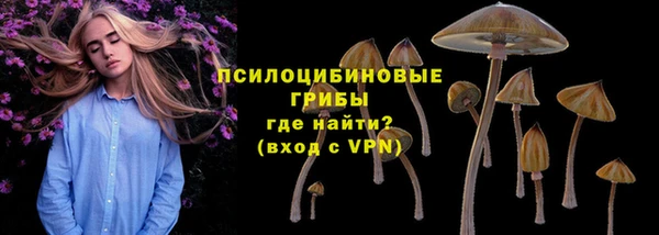 ALPHA PVP Аркадак