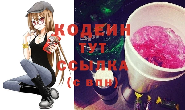 apvp Арсеньев