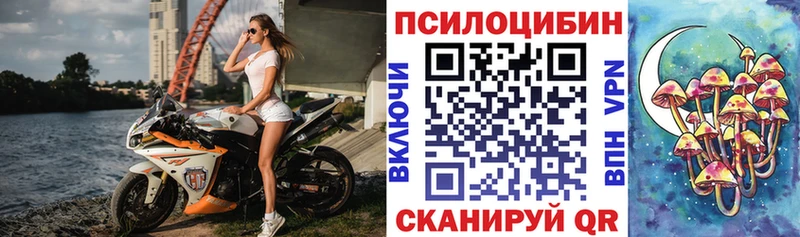 Псилоцибиновые грибы Cubensis  MEGA как зайти  shop Telegram  купить закладку  Облучье 